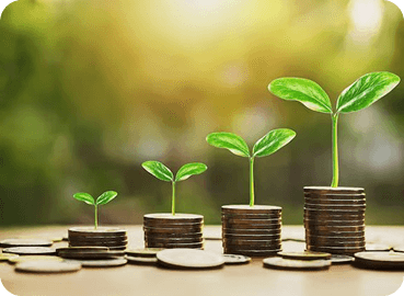 Sustainable growth investment